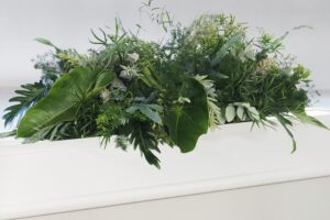 Botanisk