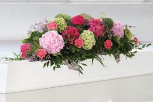 Rosa hortensia
