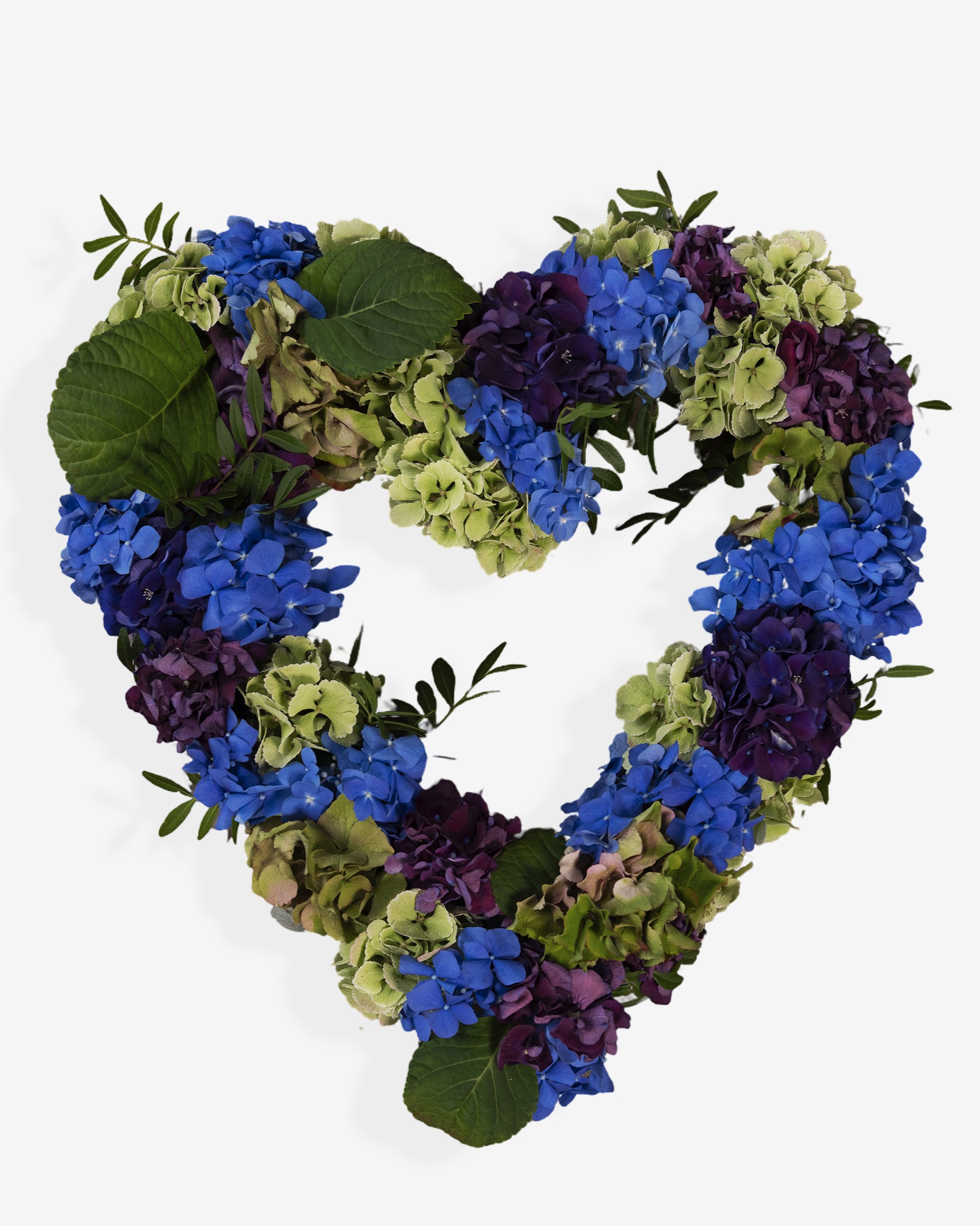 Hortensia hjerte (Ã¥bent) - Billede 3
