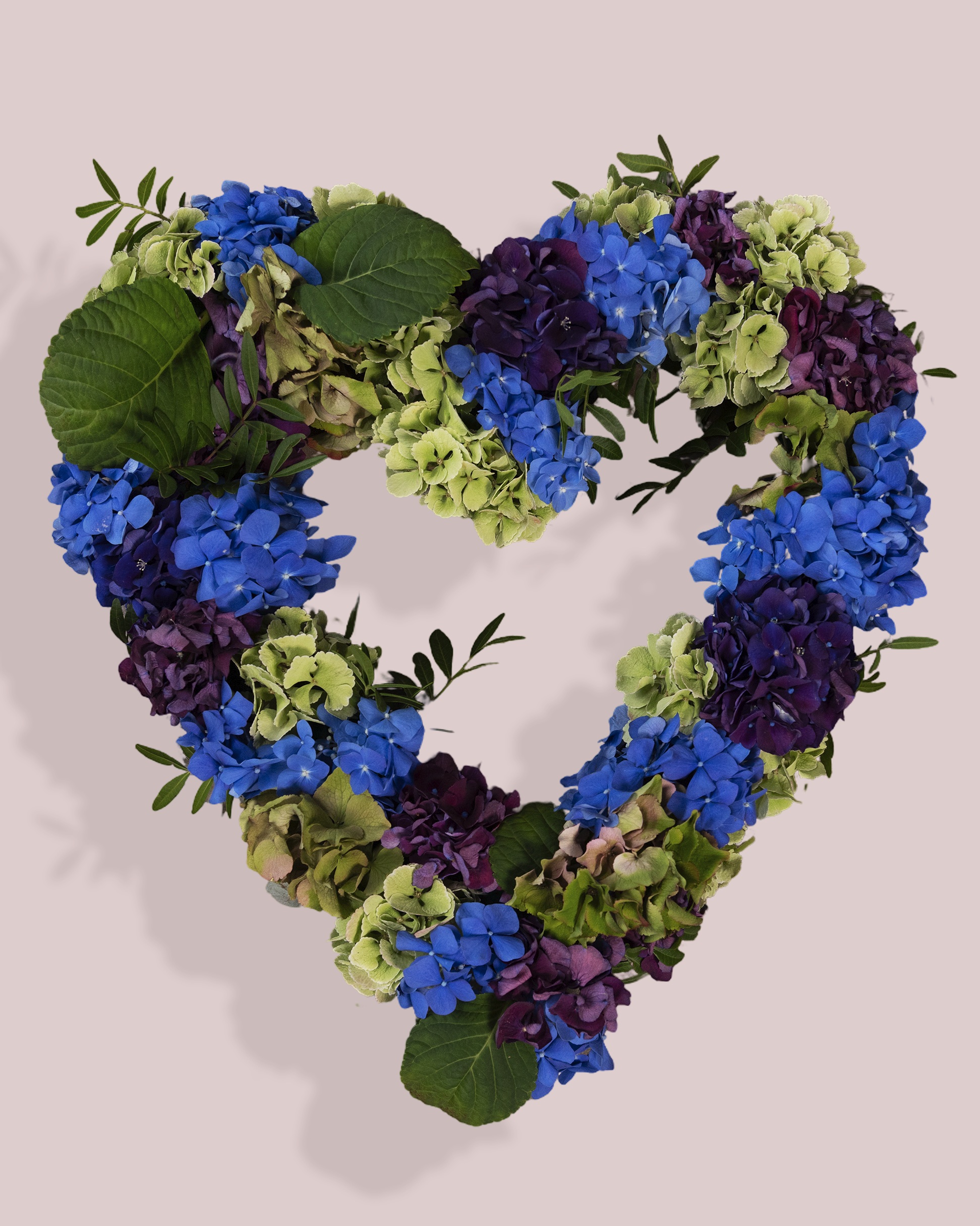 Hortensia hjerte (Ã¥bent) - Billede 3