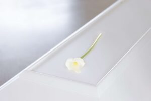 Hvid calla