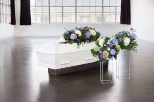 Blå hortensia (kombi)
