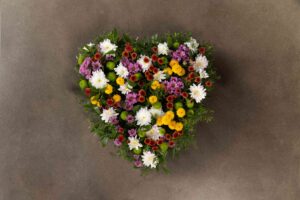 Chrysanthemum (fyldt)