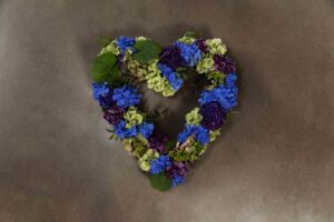 Hortensia hjerte (åbent)