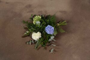 Blå hortensia