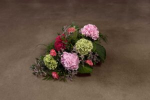 Rosa hortensia