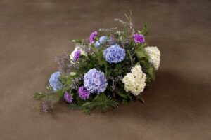 Blå hortensia