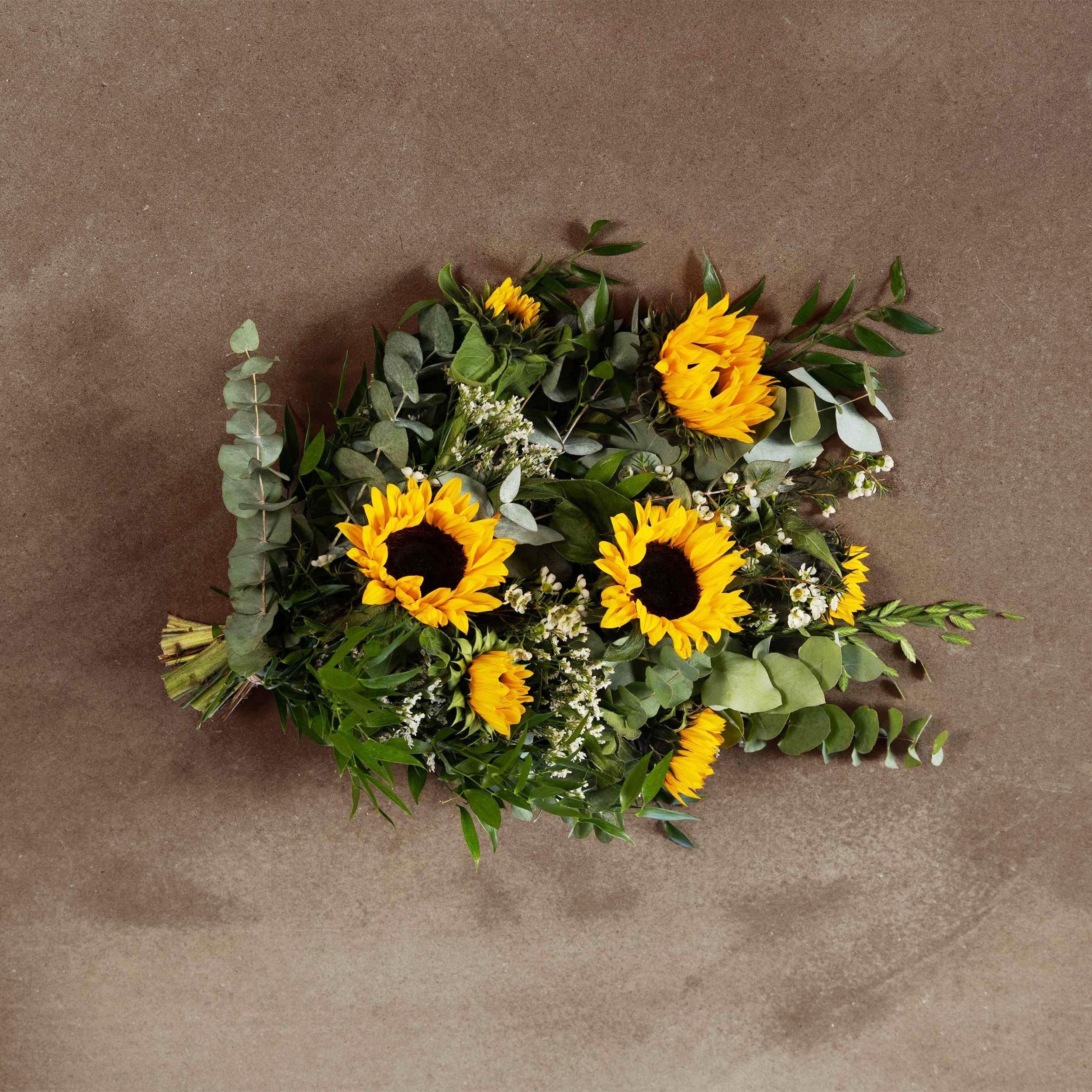 Solsikke - Billede 2