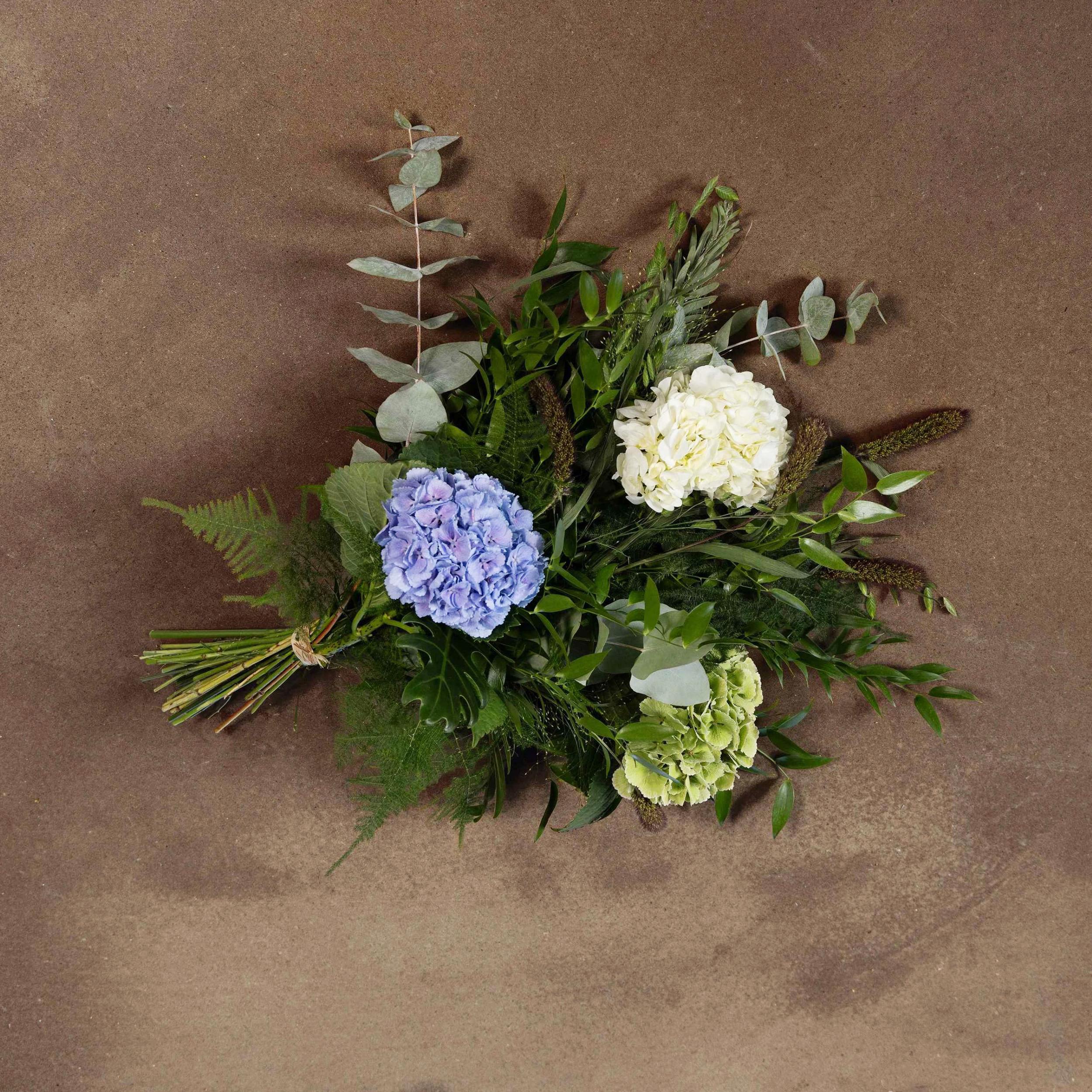 Blå hortensia - Billede 2