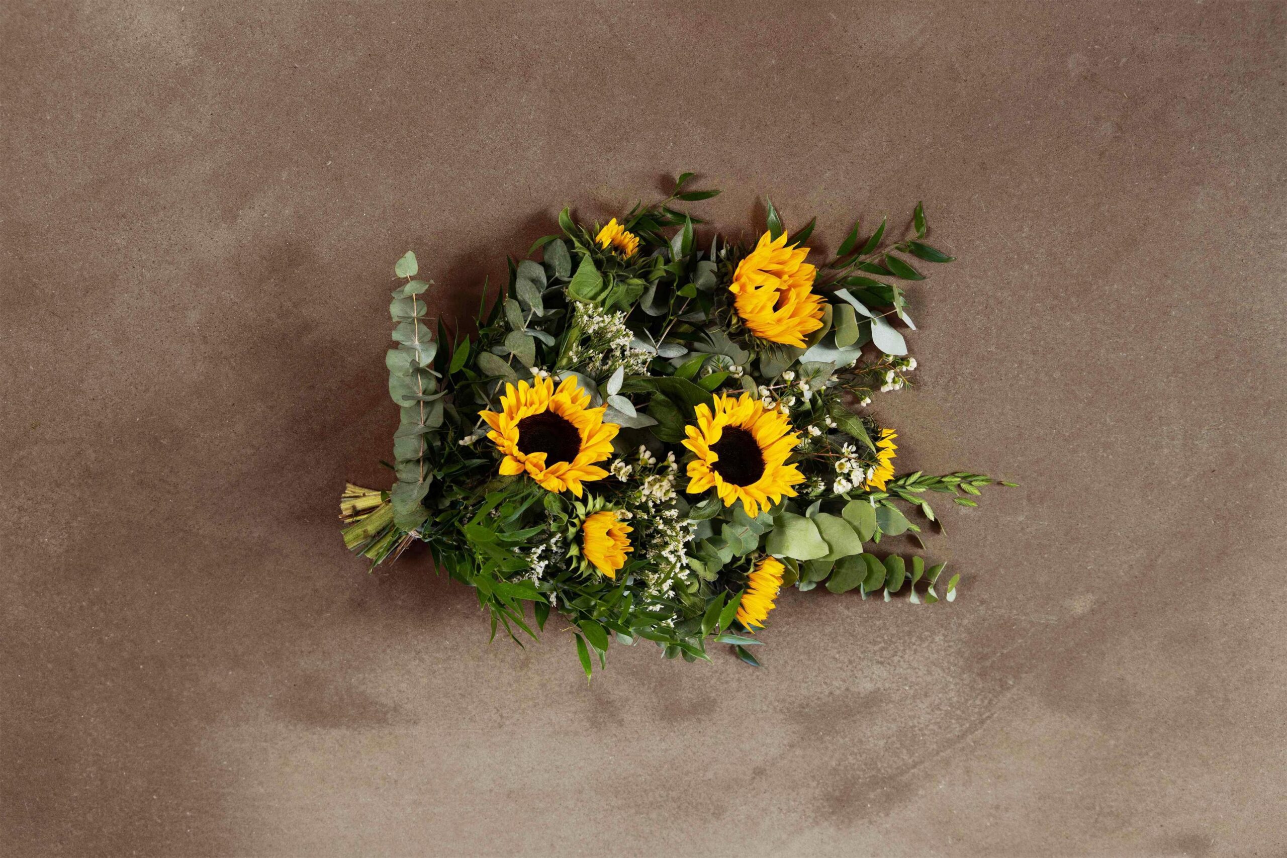 Solsikke