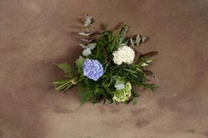 Blå hortensia