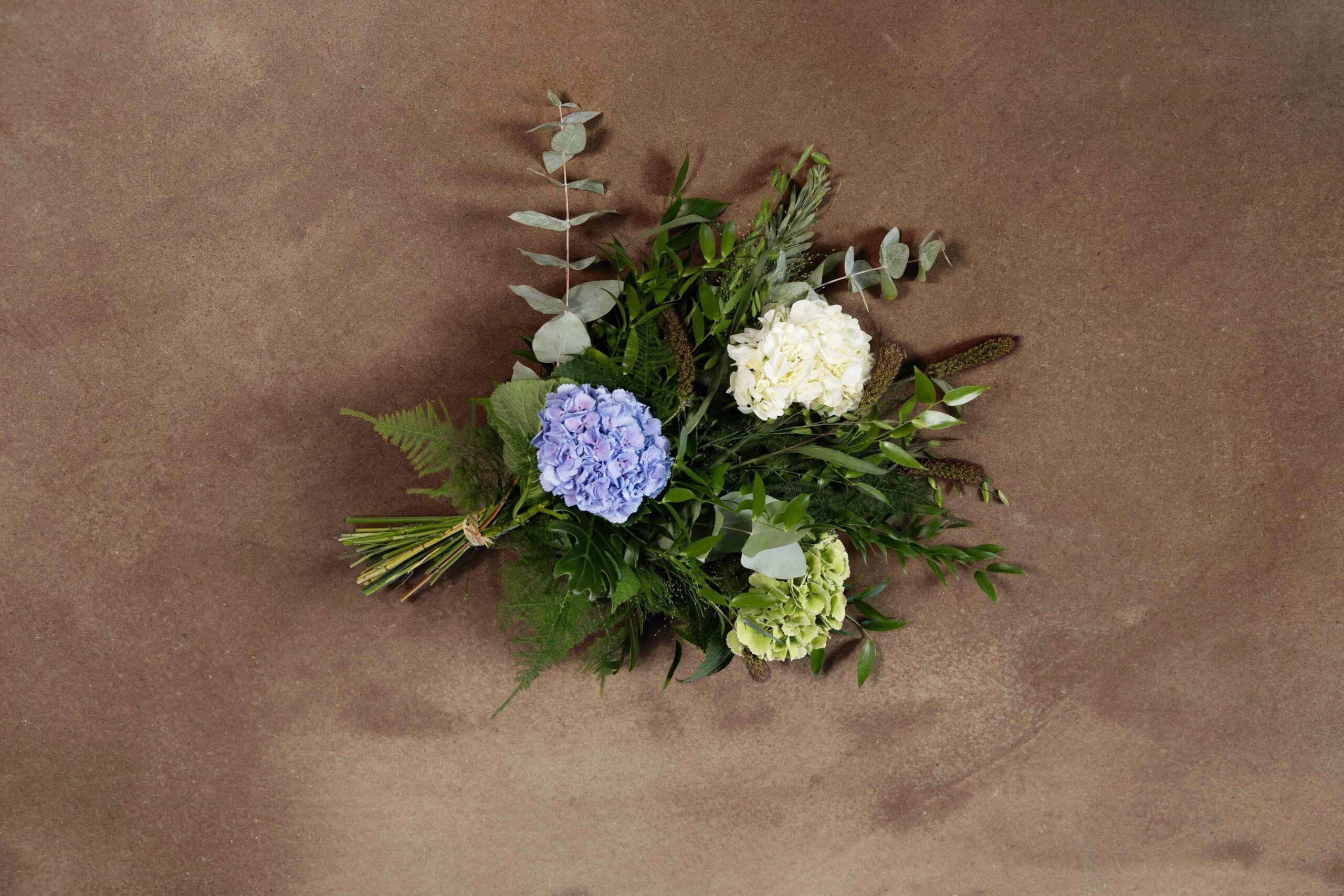 Blå hortensia