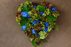 Hortensia hjerte (fyldt)